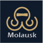 Molausk - Project management and engineering company